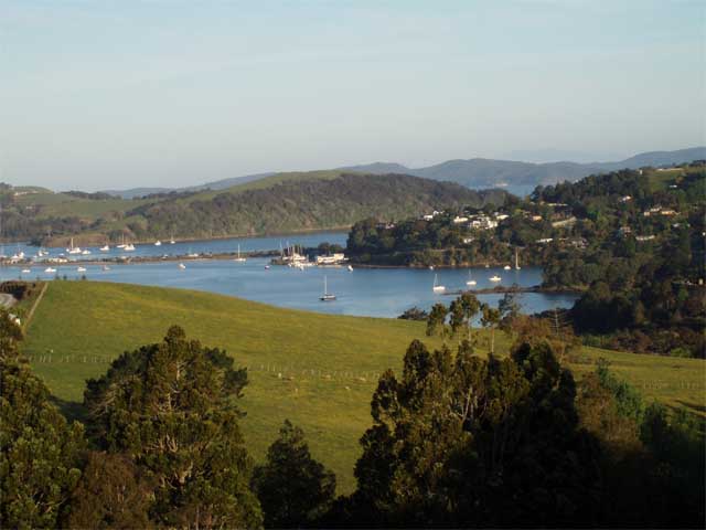 Overlooking Matakana