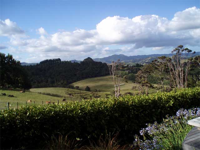 Beautiful Matakana
